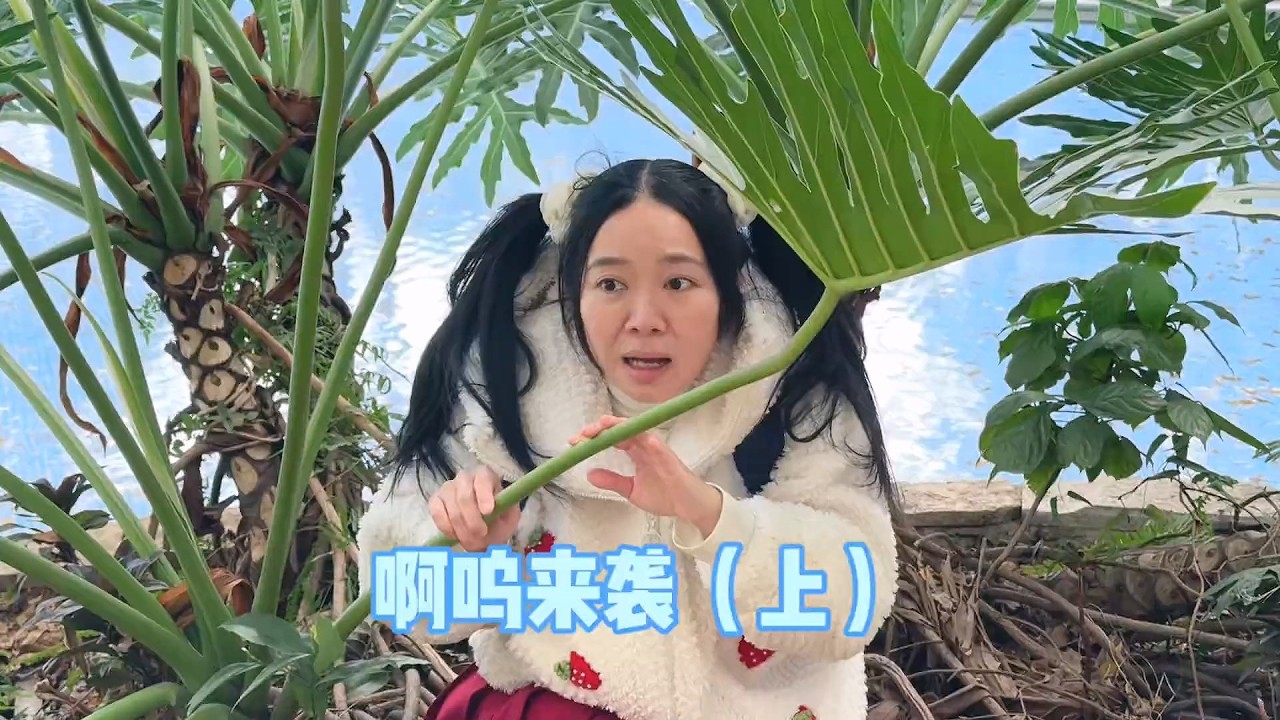 多福学姐那边刚结束的厄运，转到硬核学校来了  #我是林呱呱 #205女生宿舍【硬核妈妈丽洁】#剧情 #学生