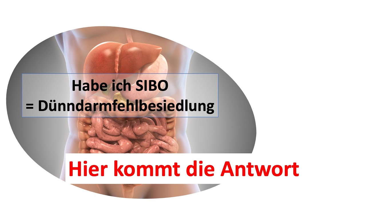 Hab ich SIBO - eine Dünndarmfehlbesiedlung