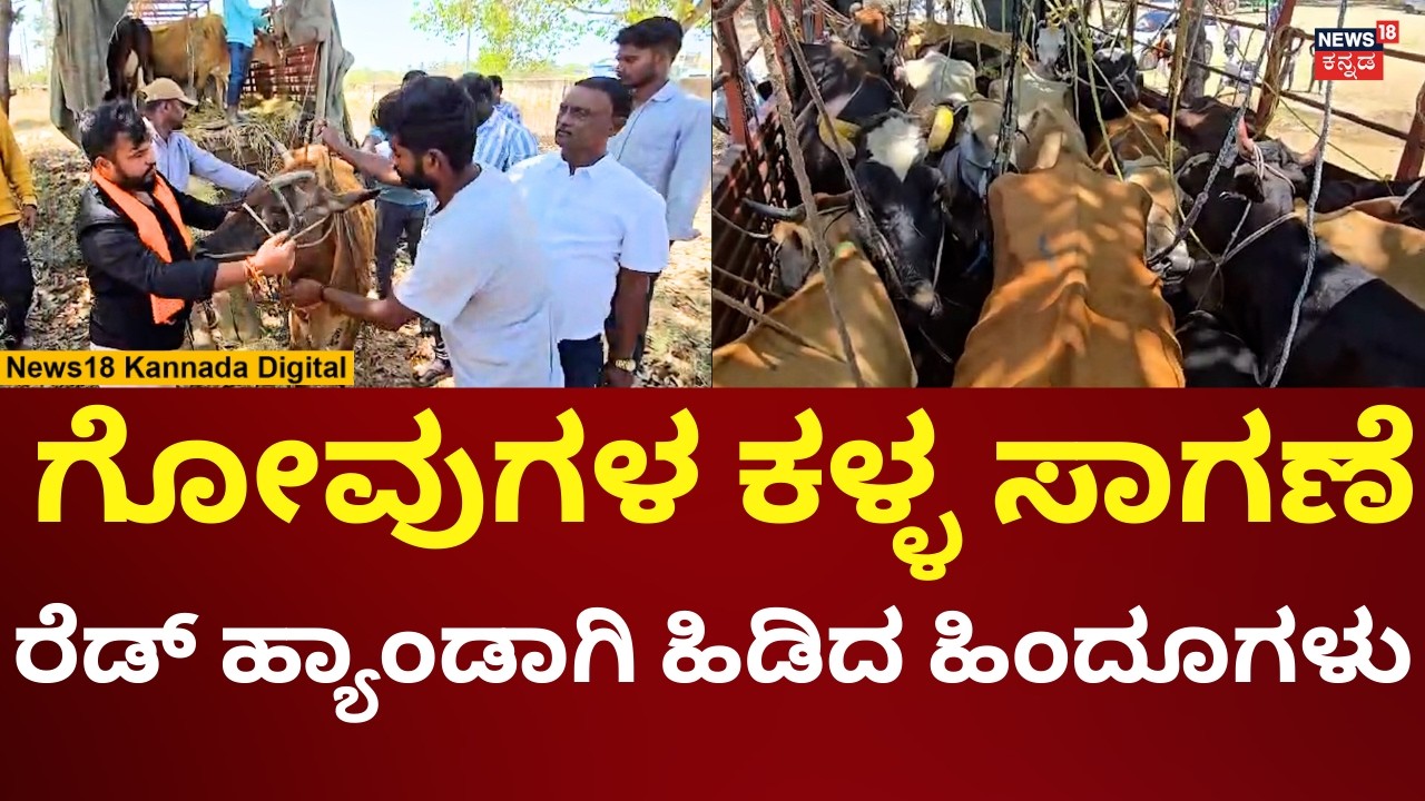 Hindu Activists Caught Cow Thieves At Kolar | ರೆಡ್​ ಹ್ಯಾಂಡಾಗಿ ಹಿಡಿದು ಗೋವುಗಳ ರಕ್ಷಿಸಿದ ಹಿಂದೂಗಳು | N18V