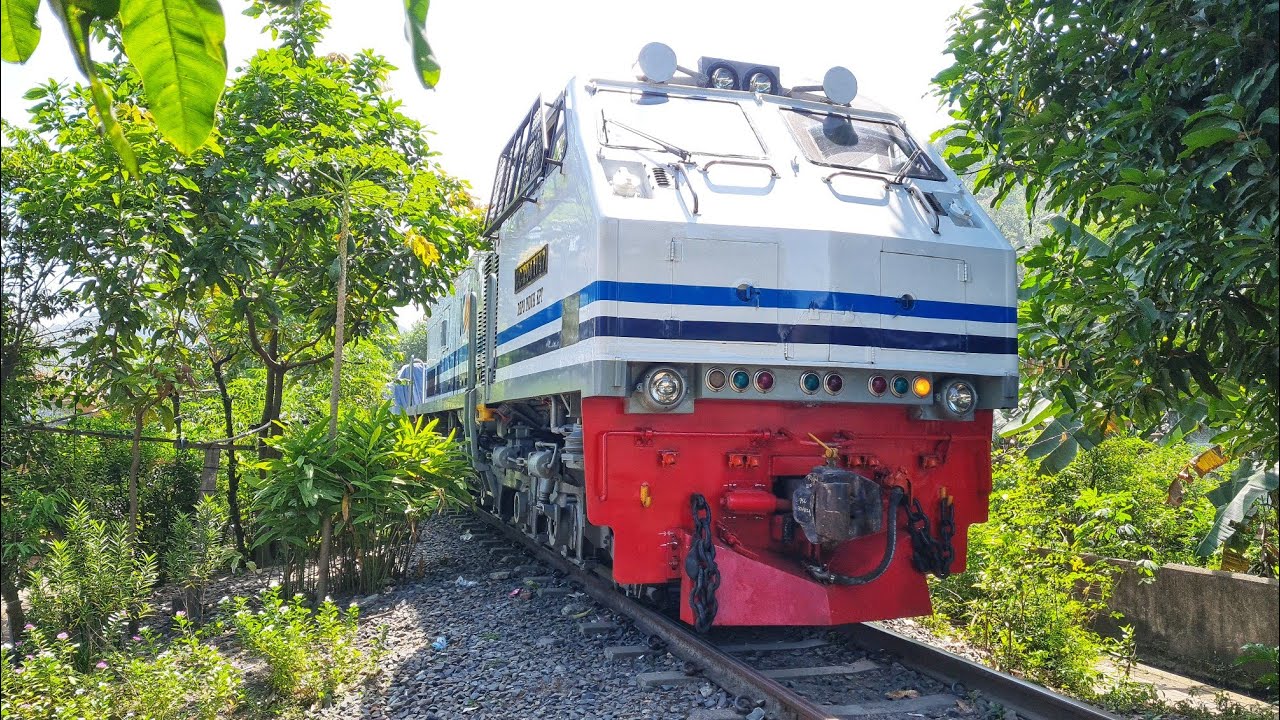 KERETA MASUK KE AREA BANYAK POHON UNTUK MENGANTARKAN ANGKUTAN SEMEN !