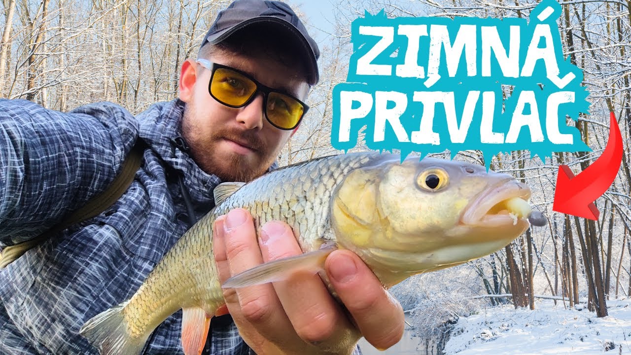 ❄️Takto chytíš ryby na prívlač aj v studenej vode!❄️🐟
