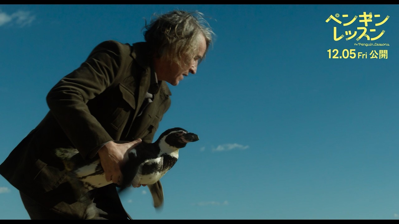 ペンギン好き必見！まさかの実話！？映画『ペンギン・レッスン』本編映像