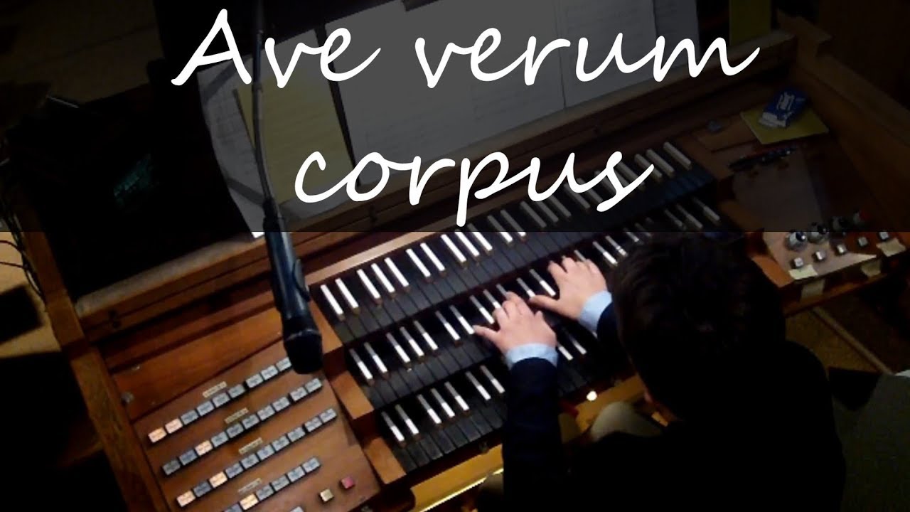Ave verum corpus  - W. A. Mozart (Chor und Orgel)