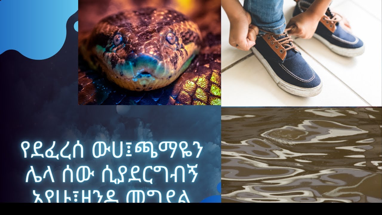 የደፈረሰ ውሀ፤ጫማዬን ሌላ ሰው ሲያደርግብኝ አየሁ፤ዘንዶ መግደል