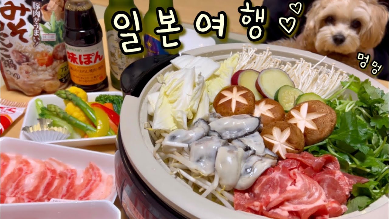 나베 만들어 먹고🍲 스키장 가고🏂 츠루동탕🍜 먹던 일본 카루이자와 브이로그