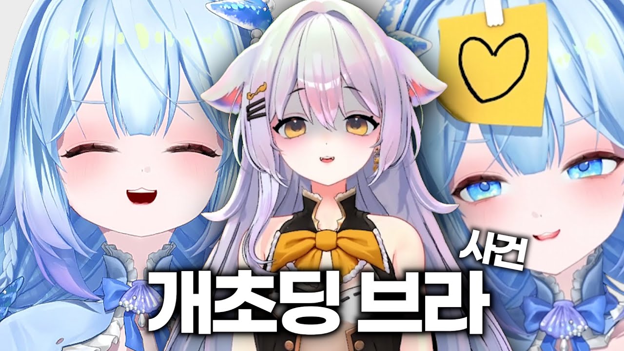 개초딩 브라자가 뭔데? ㅣ 아카시아 하시요, 포포포포