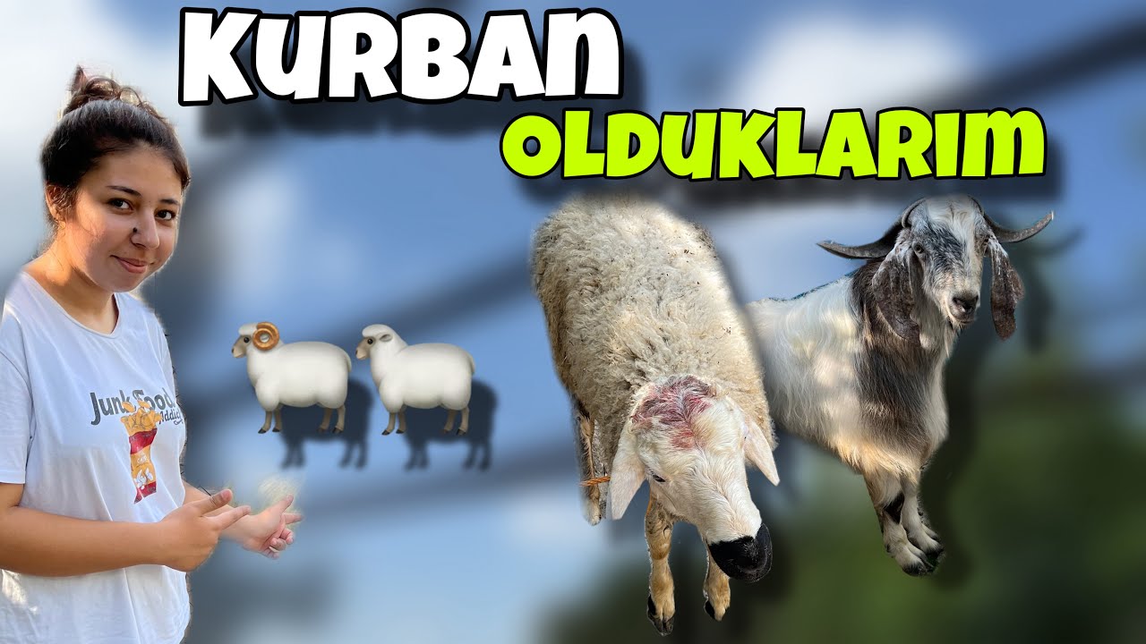 2 GÜNLÜK KURBAN BAYRAMI VLOG