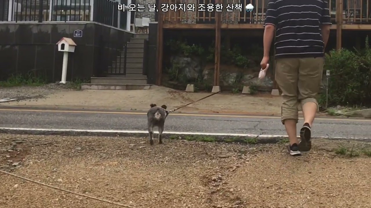 2026년 2월 19일