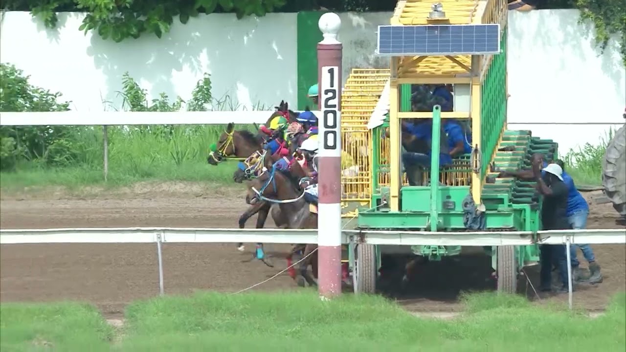 Caymanas Highlights - June 11, 2023 | SportsMax TV