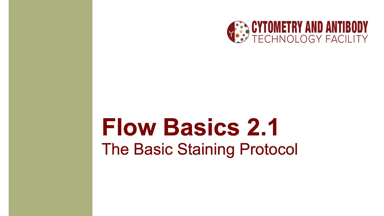 Flow Basics 2.1: The Basic Staining Protocol