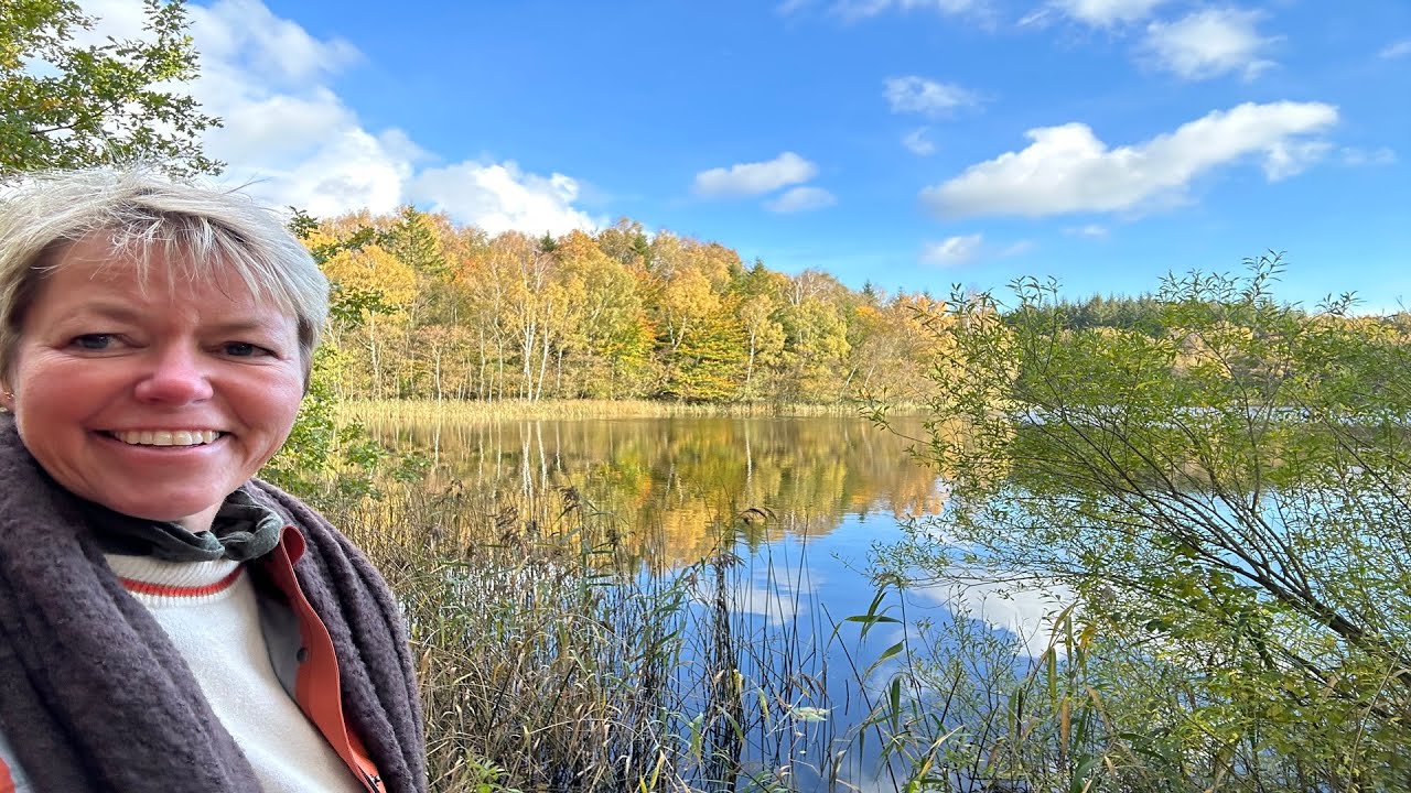 Se Anne Vibeke Rejser - Efterårsferie i Rold Skov - masser af tips til efterårsferien