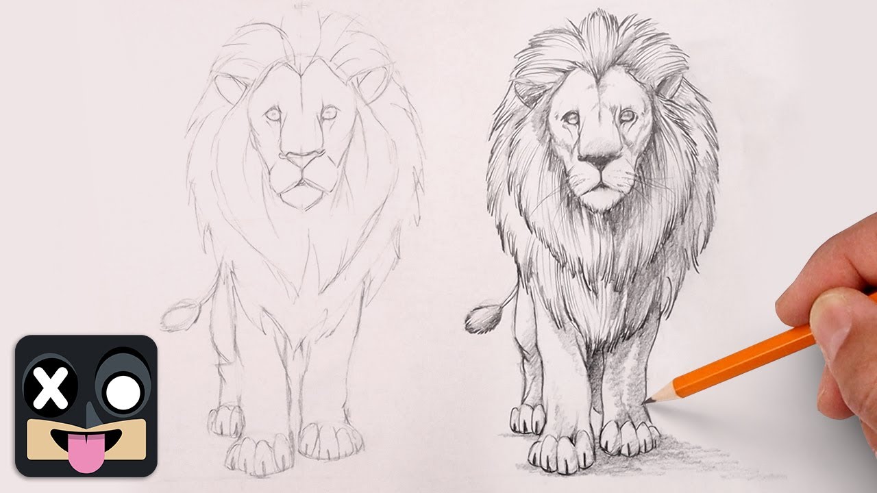 How To Draw a Lion | Sketch Tutorial