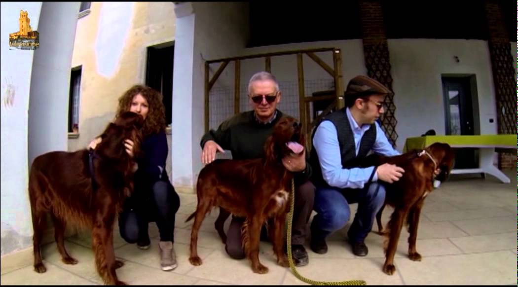 All'Ombra della Specola - Vita da Cani 4 (Setter Irlandese)