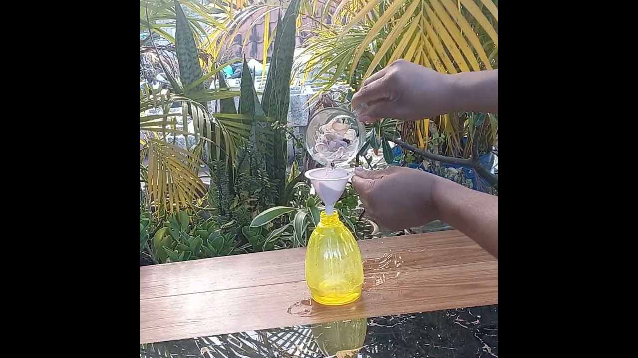 Protege  tus  plantas contra  las  enfermedades ,  con este  remedio  natural.