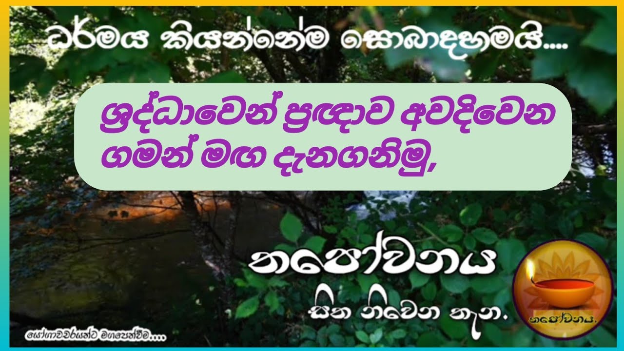 ශ්‍රද්ධාව සහ ප්‍රඥාව  වෙනස දැනගනිමු#Thapowanaya සිත නිවෙන තැන 🪷