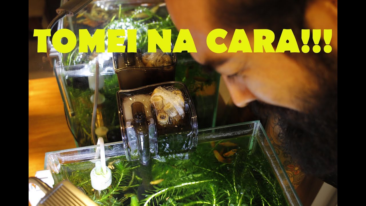 COMO FAZER ADAPTAÇÃO NO FILTRO HANG ON E LIMPEZA!!!