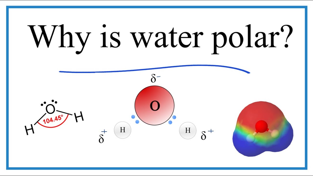 Why is water (H2O) a polar molecule?