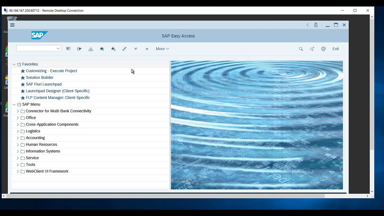 Изменение темы оформления SAPGUI SAP LOGON SAP Signature