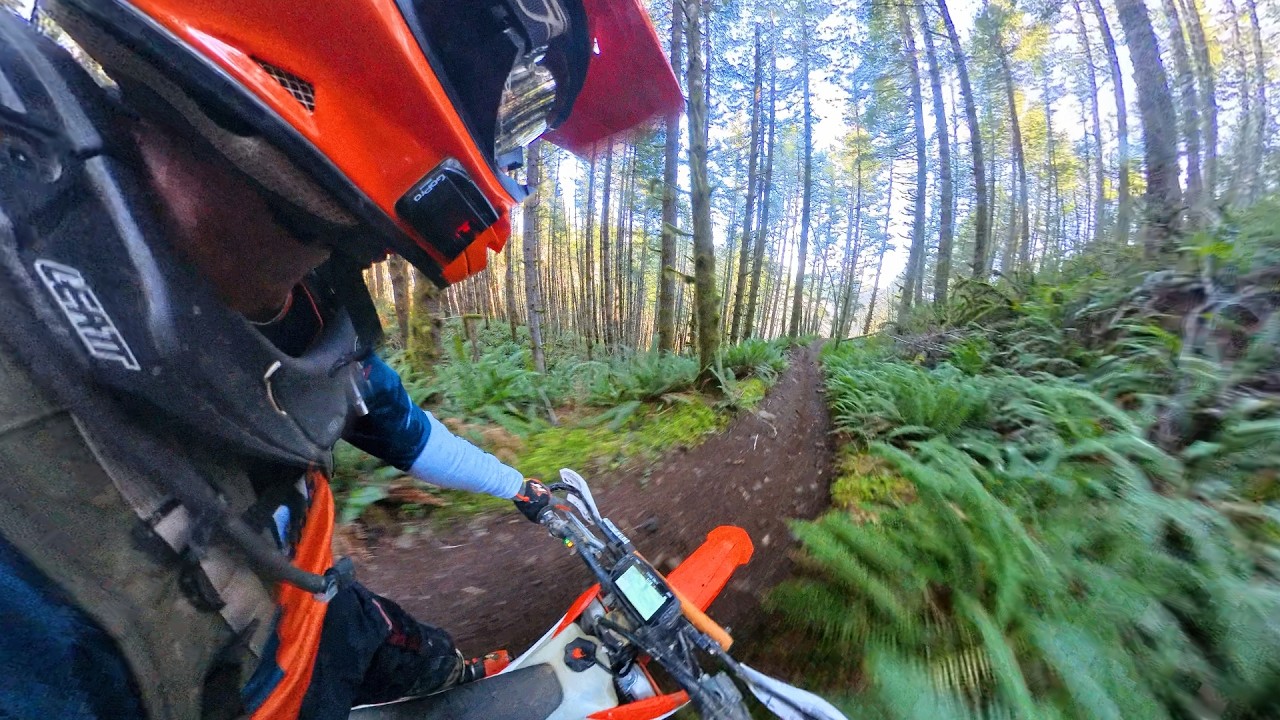 Mike's  - Trail 92