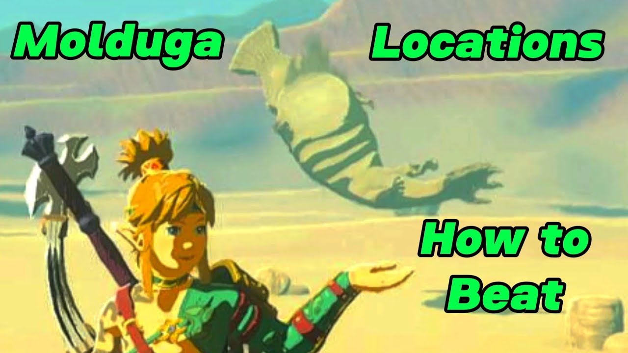Totk Molduga Locations and How To Beat