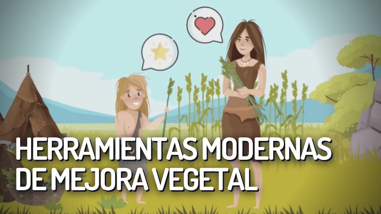 Transgénesis vs Edición genética