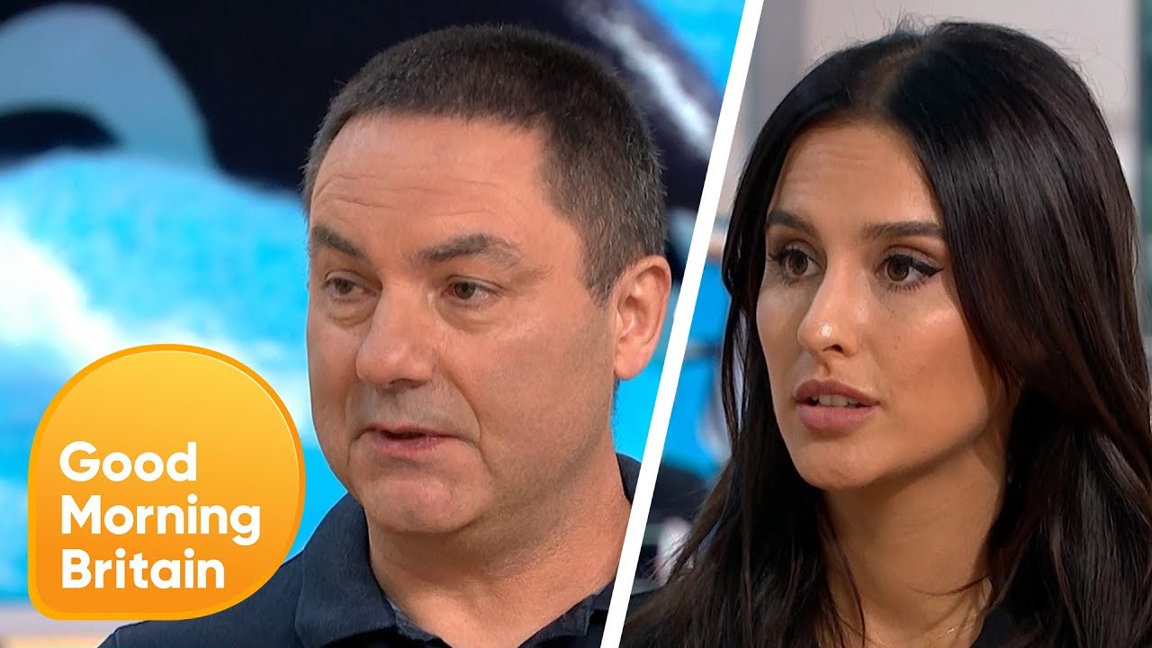 Is It Time to Boycott Animal Parks? | Good Morning Britain