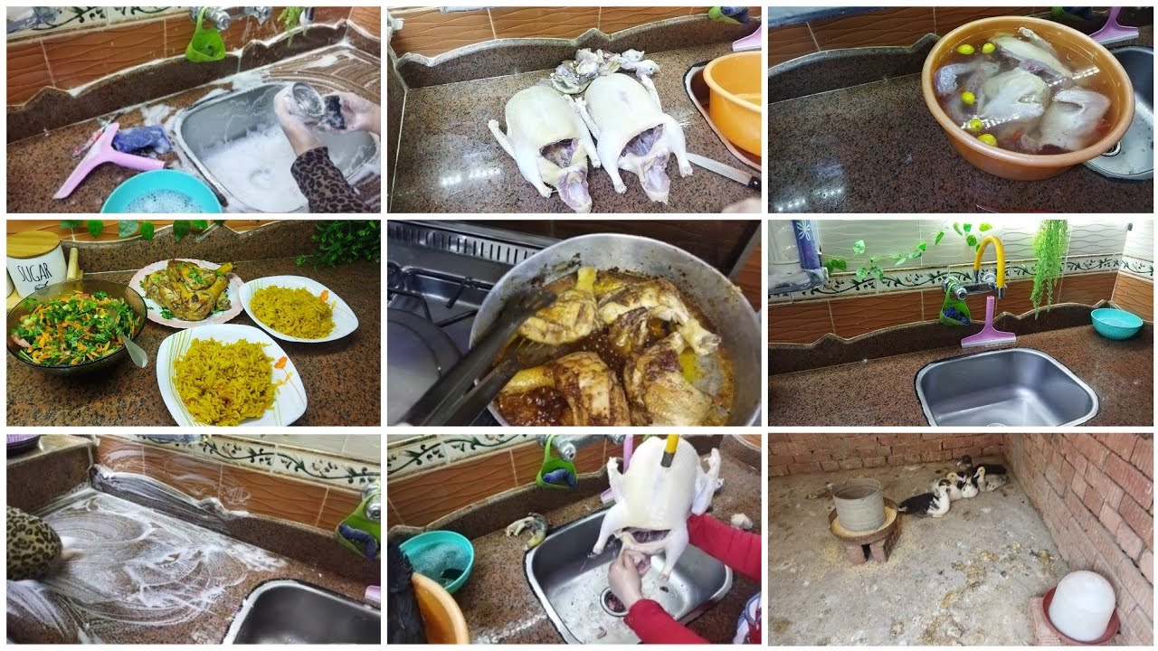 روتين قوى كله شقي 🦆نظفت طيوري ومليت بيتي عز وخير ايدك خضره تملي بيتك 