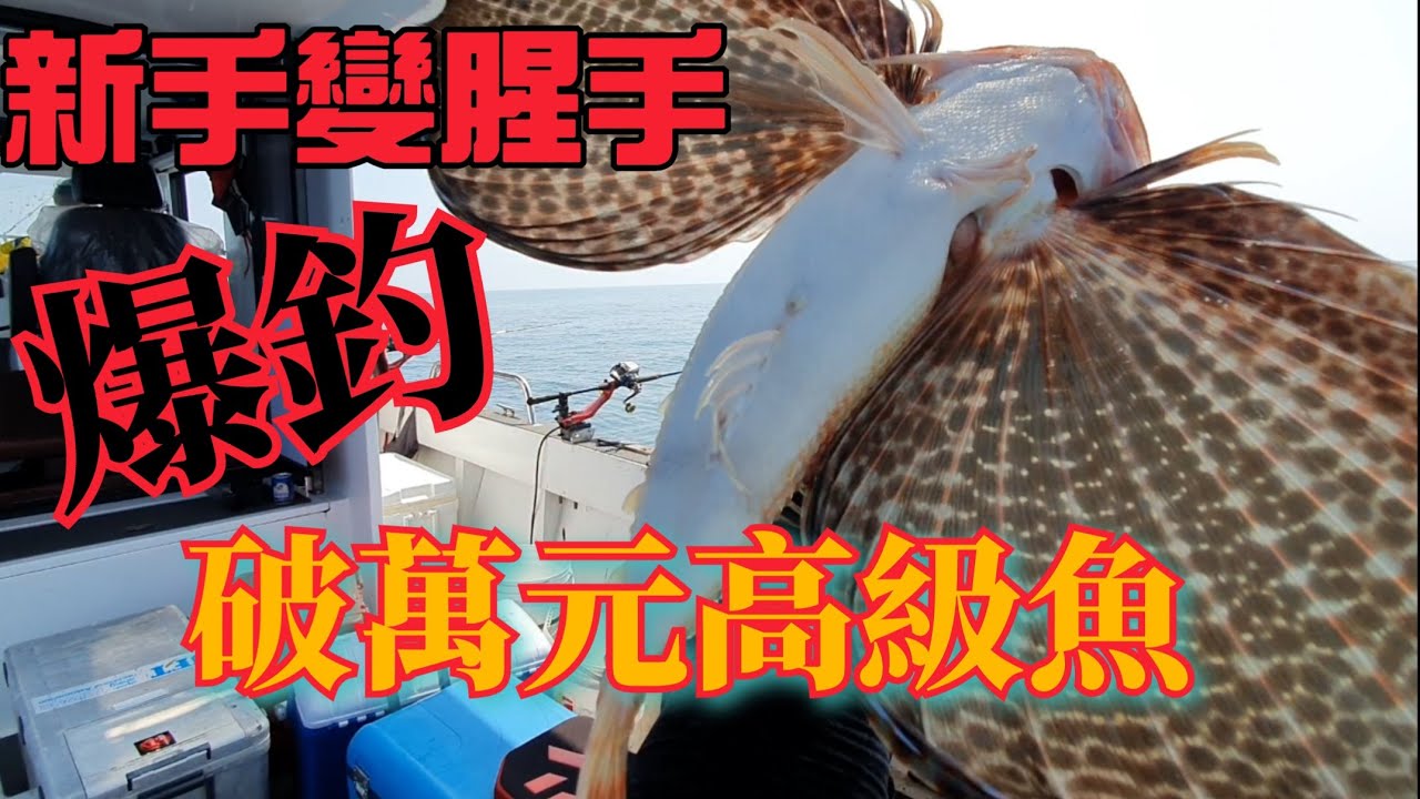 爆釣萬元高級魚～帶新手到神秘海域變成腥手