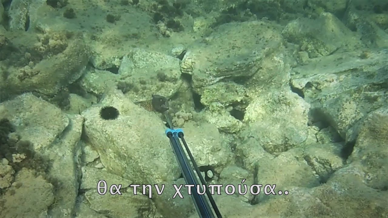 ΤΑ ΘΗΡΑΜΑΤΑ ΕΝΟΣ ΡΗΧΟΥ ΠΛΗΝ ΤΙΜΙΟΥ ΨΑΡΟΤΟΥΦΕΚΑ/SHALLOW SPEARFISHING 2020