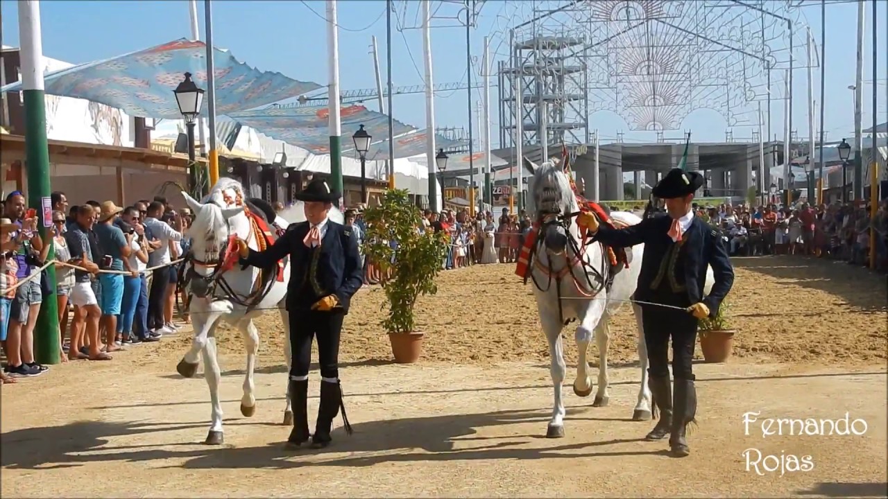 Espectáculo de la Fundación Real Escuela Andaluza de Arte Ecuestre,  Feria de Tarifa 2018