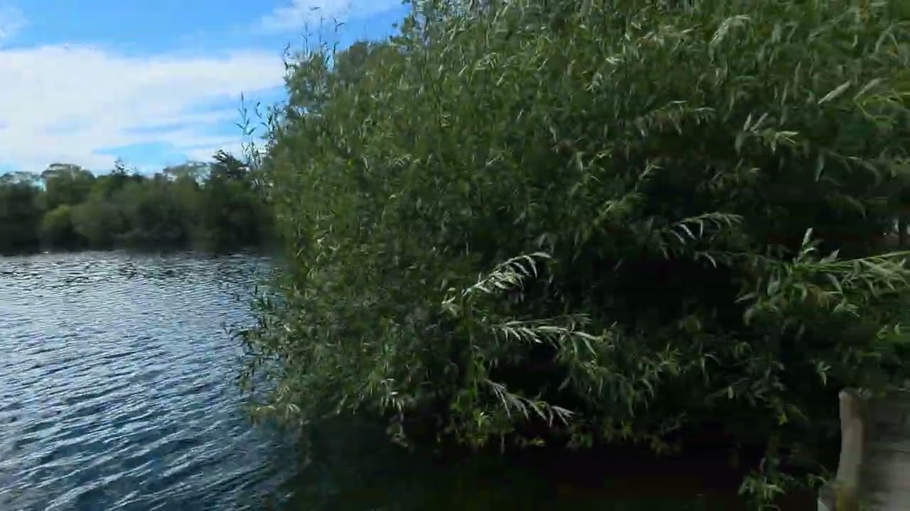 WALKING Tour Christchurch Lakes, 5mins from Christchurch International Airport. 