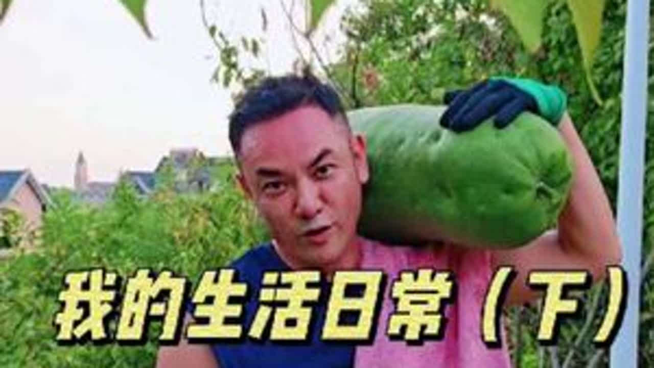 记录我的日常生活#创意思艺吴斌#记录生活 #日常分享