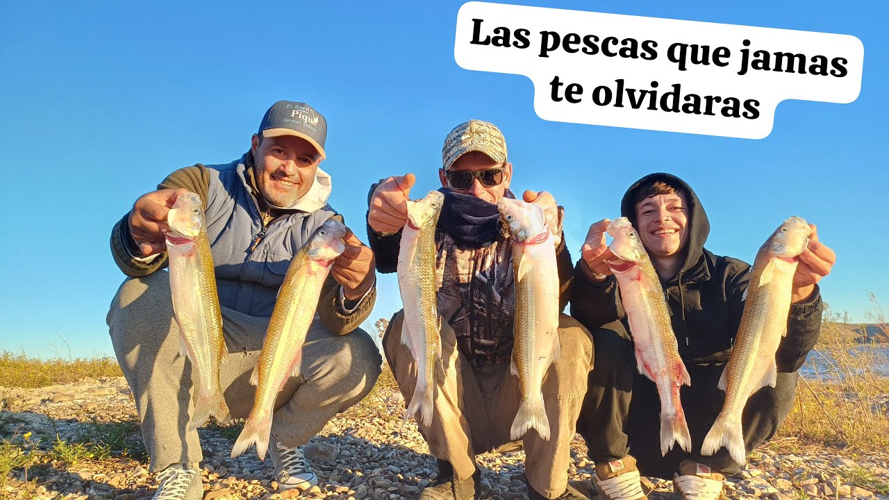 PEJERREY GRANDES DE ORILLA, EN EL DIQUE PASO DE LAS PIEDRAS.
