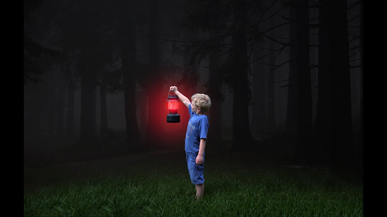 Photoshop Tutorial Photo Manipulation Soft Light Effect | Fantasy Forest