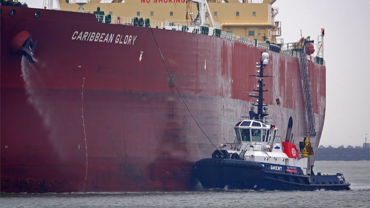 8 VERY BIG VESSELS ARRIVALS AND DEPARTURES AT ROTTERDAM PORT - 4K SHIPSPOTTING JANUARY 2024