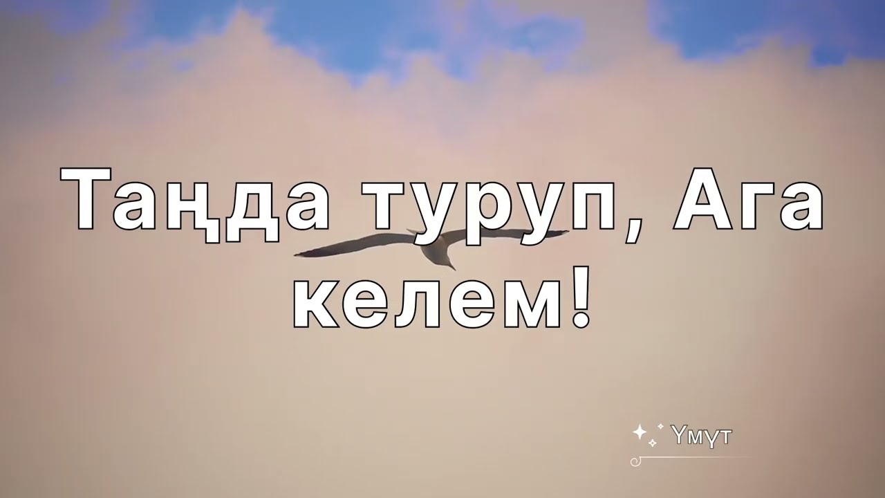 Ал мени сүйөт