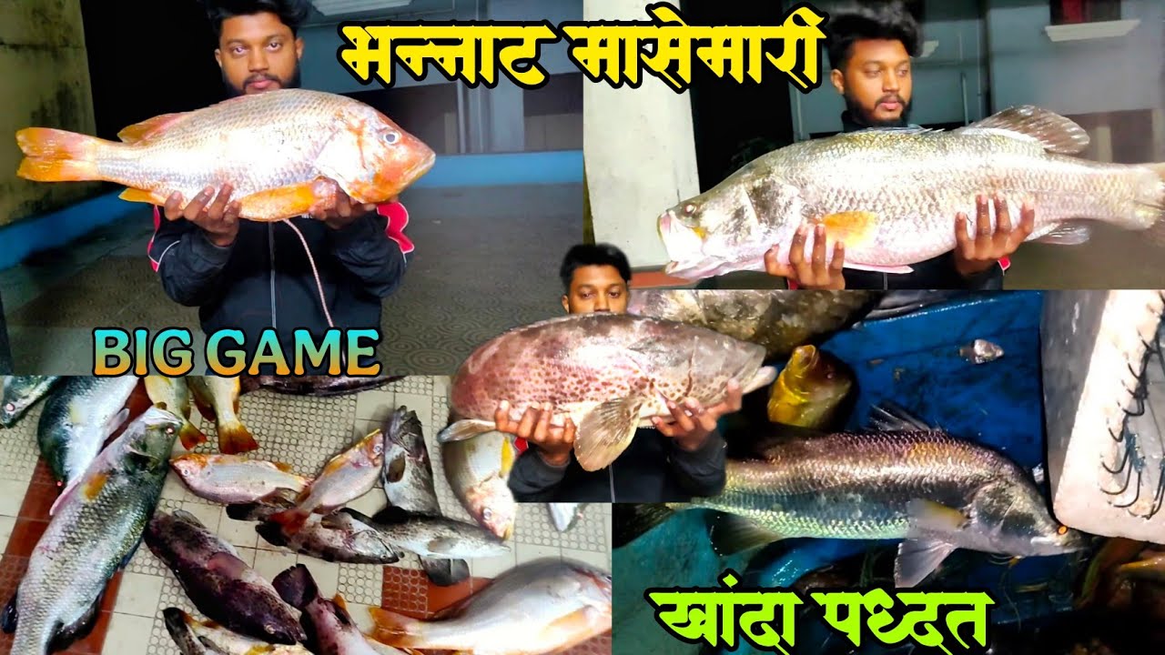 समुद्रामध्ये खांदा पद्धतीचे गळ टाकून पकडले 50-60 किलो🐟मासे😱 जिताडा, लासा,हेकरू,किलशी @pmfishing675.
