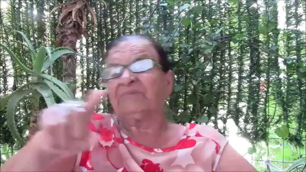 Guardavalle   Storie e Tradizioni   3^ puntata con la Sig ra Caterina Valente   MaryWebEventy