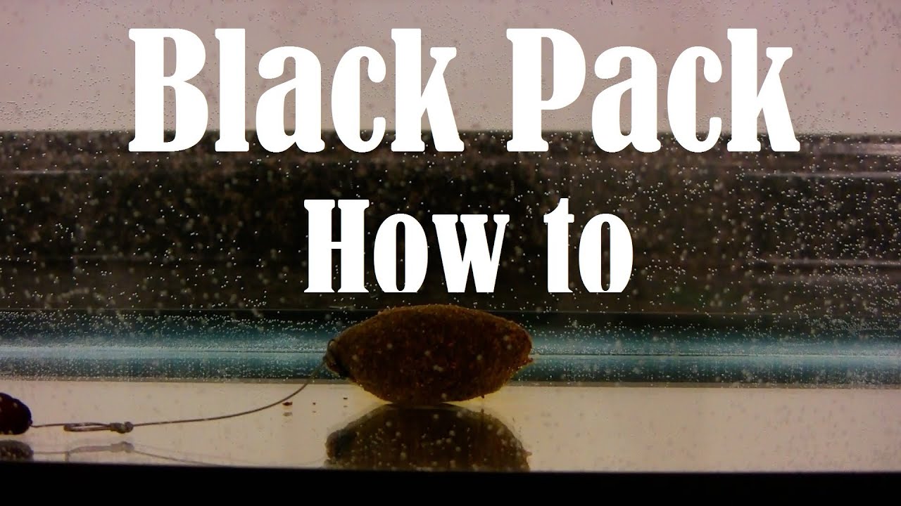 How to make a Black Pack Packbait aka Wheat Germ for carp fishing tutorial underwater