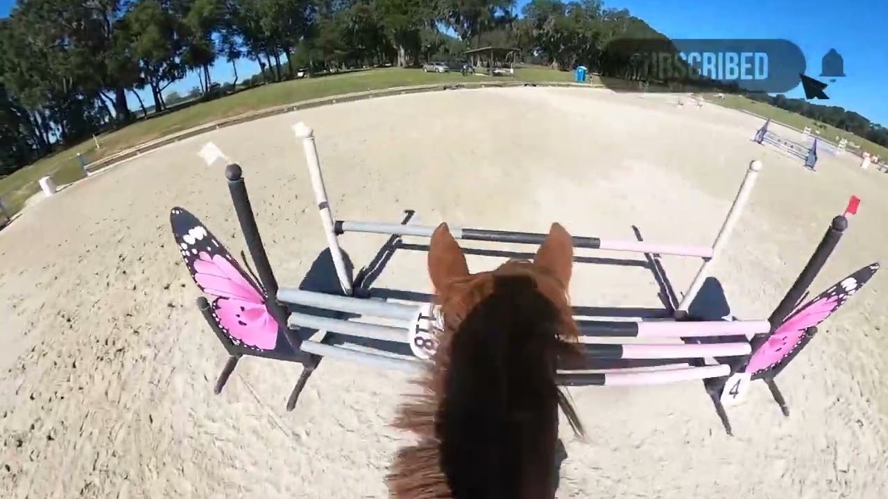GoPro: Wyeth the Mustang (Training | 2023 Majestic Oaks Schooling Show II) - Show Jumping