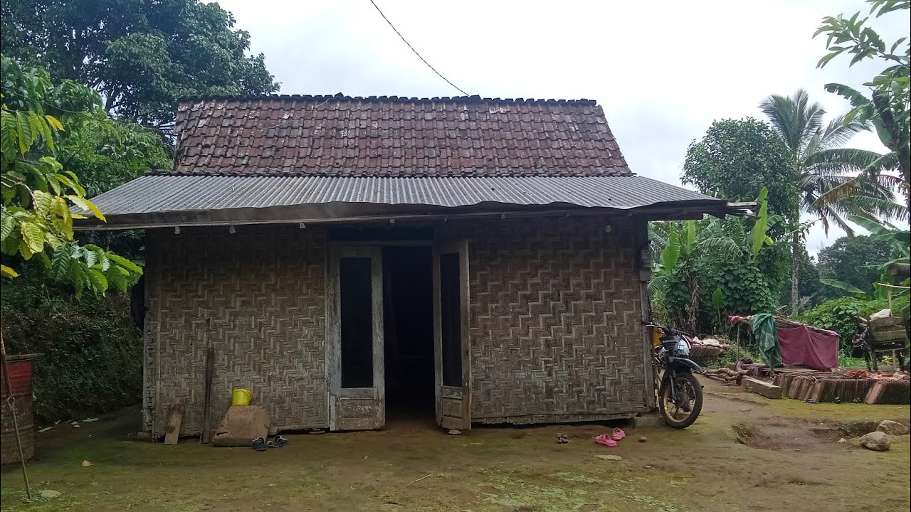 Kampung Simacan Terpencil di Perbukitan Hutan Banyuwangi