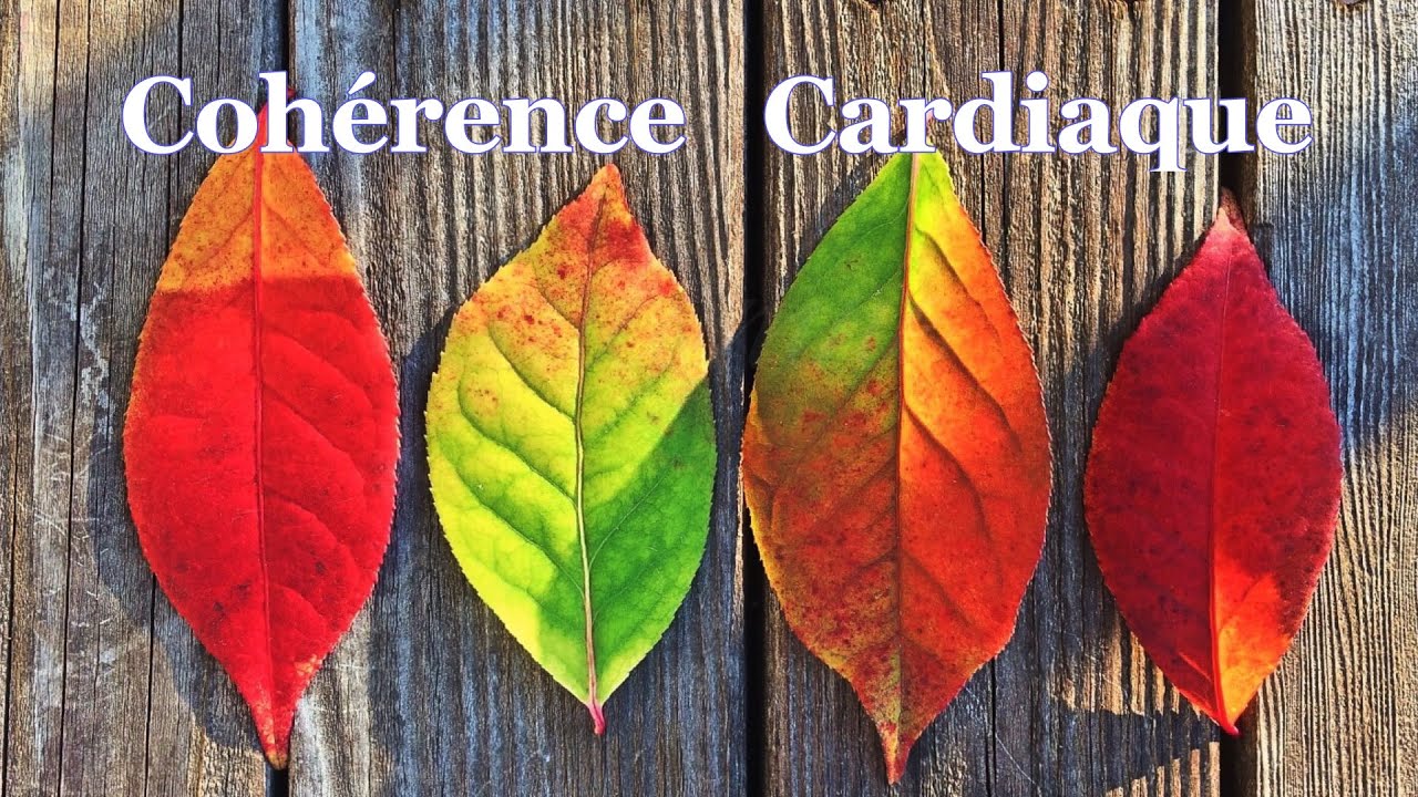 💖 Coherence Cardiaque Exercices. Automne . Exercice n°30