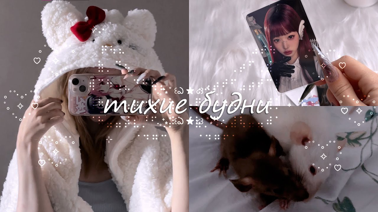 мои тихие будни
