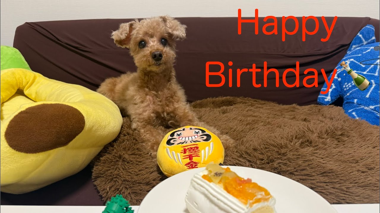 震えの止まらないお誕生日？！