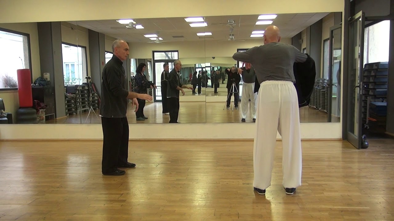 Corsi di Tai Chi e Qi Gong a Roma - &ldquo;L&rsquo;Onda Interna&rdquo; &ndash; &ldquo;Il Ghepardo si Estende&rdquo; -  M&deg; Flavio Daniele