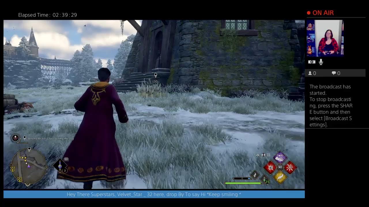Hogwarts legacy - Gryfindor student- Harry potter