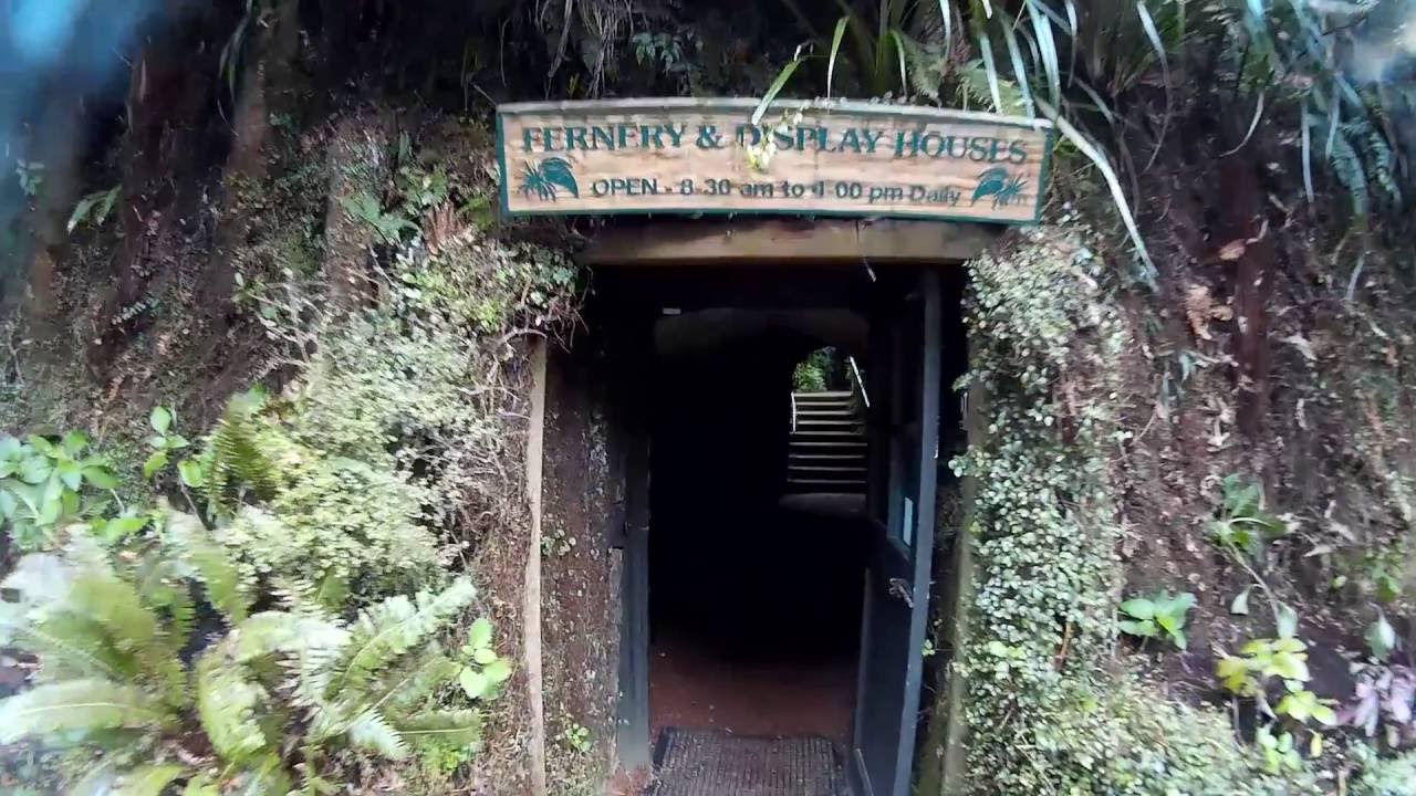 Fernery, Pukekura Park, New Plymouth