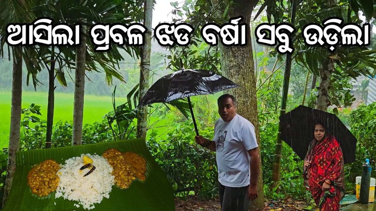 ପ୍ରବଳ ଝଡ଼ ବର୍ଷା ବୁଡେଇ ଦେଲା ଗାଁ l Bombay Singer l Jhani Alu Buta tarakari