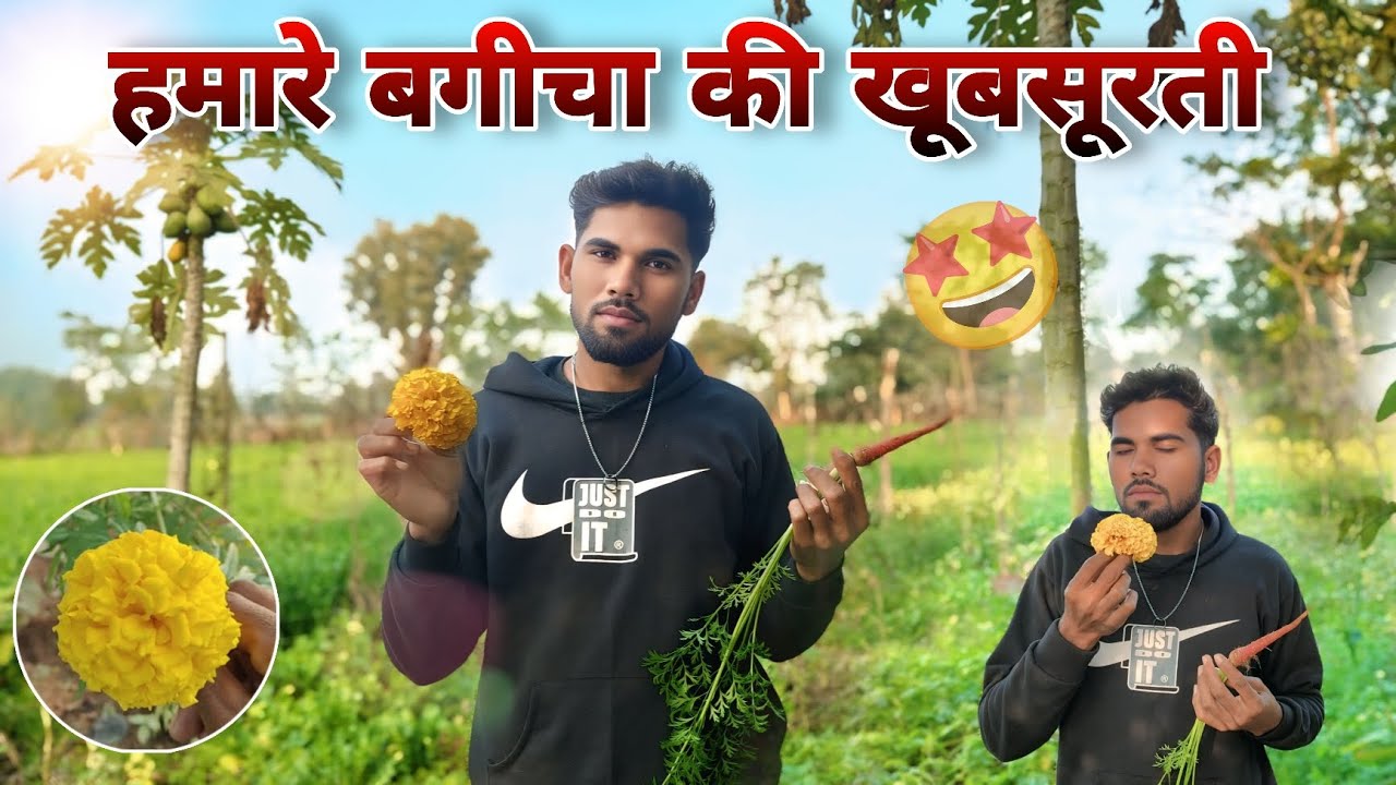 #vlog || hamare bagicha ki khubsurti || हमारे बगीचा की खूबसूरती || phoolon ka bagicha || rajesh vlog