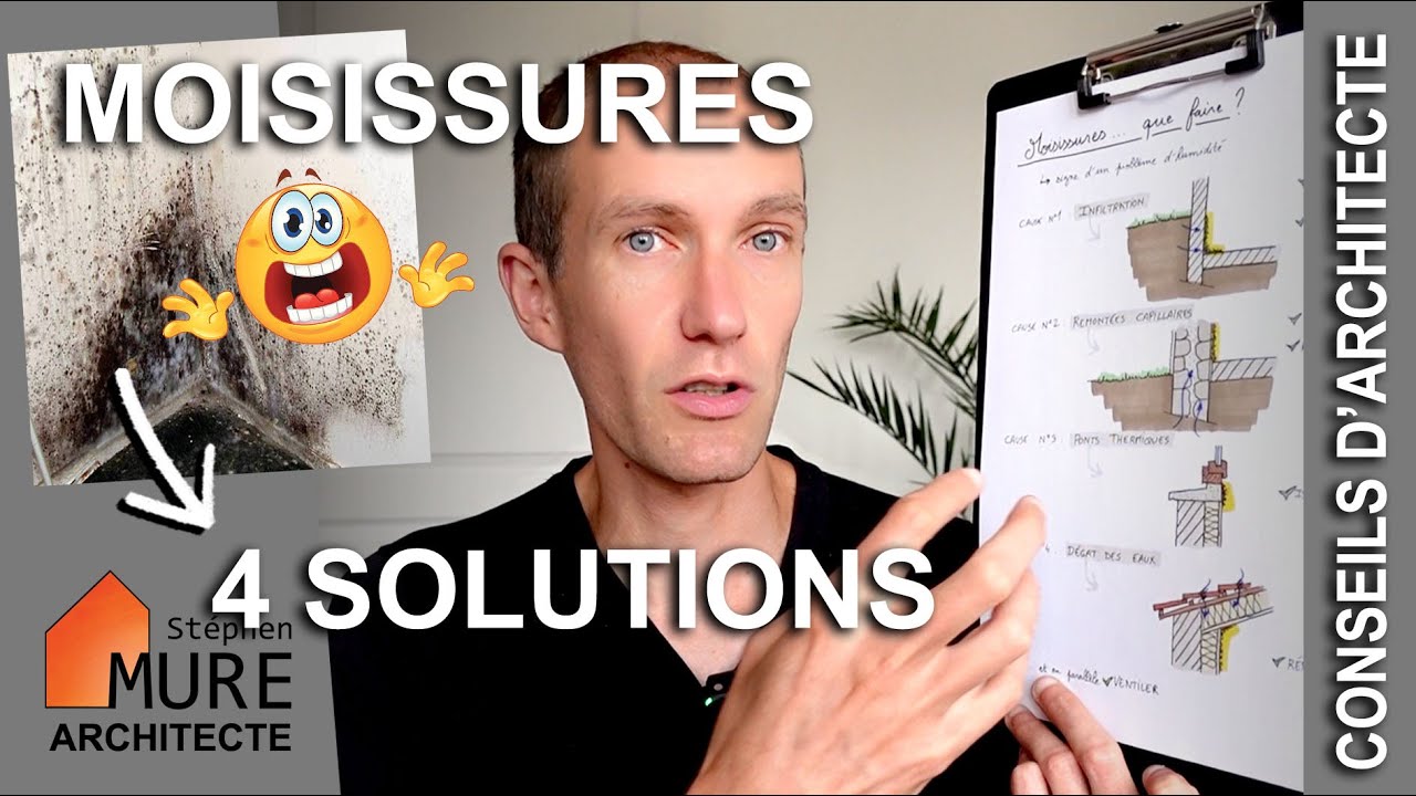 J'ai des moisissures dans ma maison : que faire ?